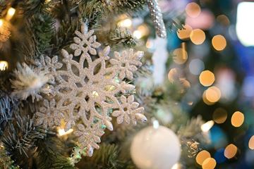 Picture of Snowflake Christmas Menu